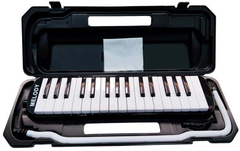 MELODY | MELODICA COLOR NEGRA