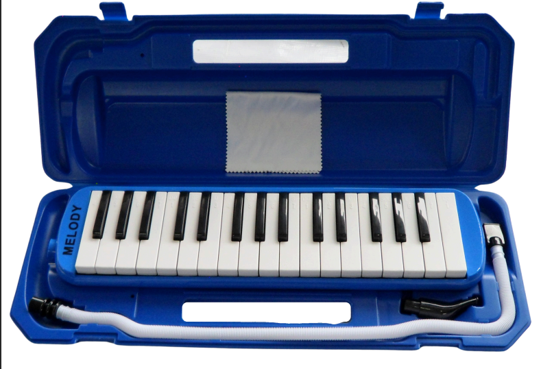 MELODY | MELODICA COLOR AZUL