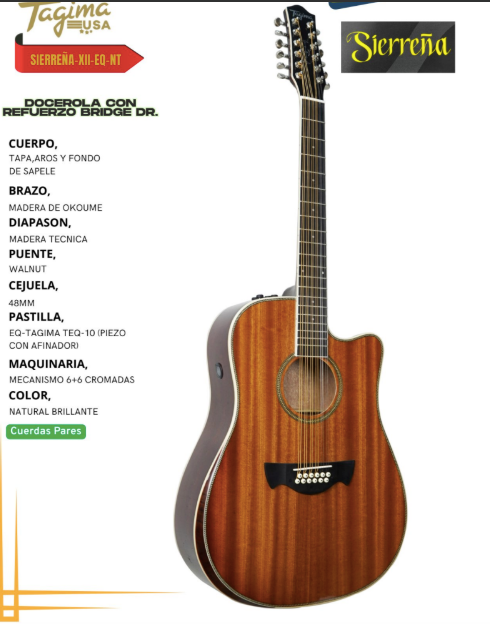 TAGIMA | GUITARRA ELECTRO ACÚSTICA DE 12 CUERDAS
