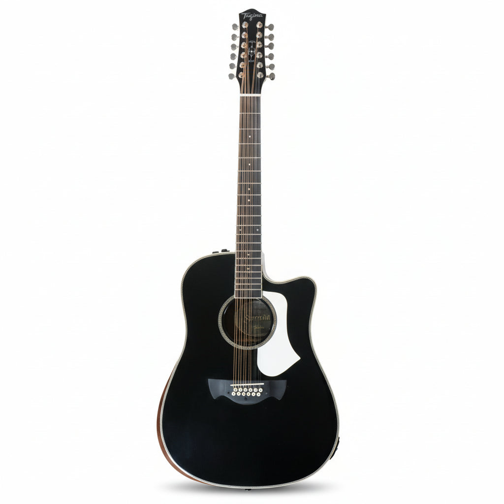 TAGIMA | GUITARRA ELECTROACÚSTICA DE 12 CUERDAS COLOR NEGRO. SIERREÑA