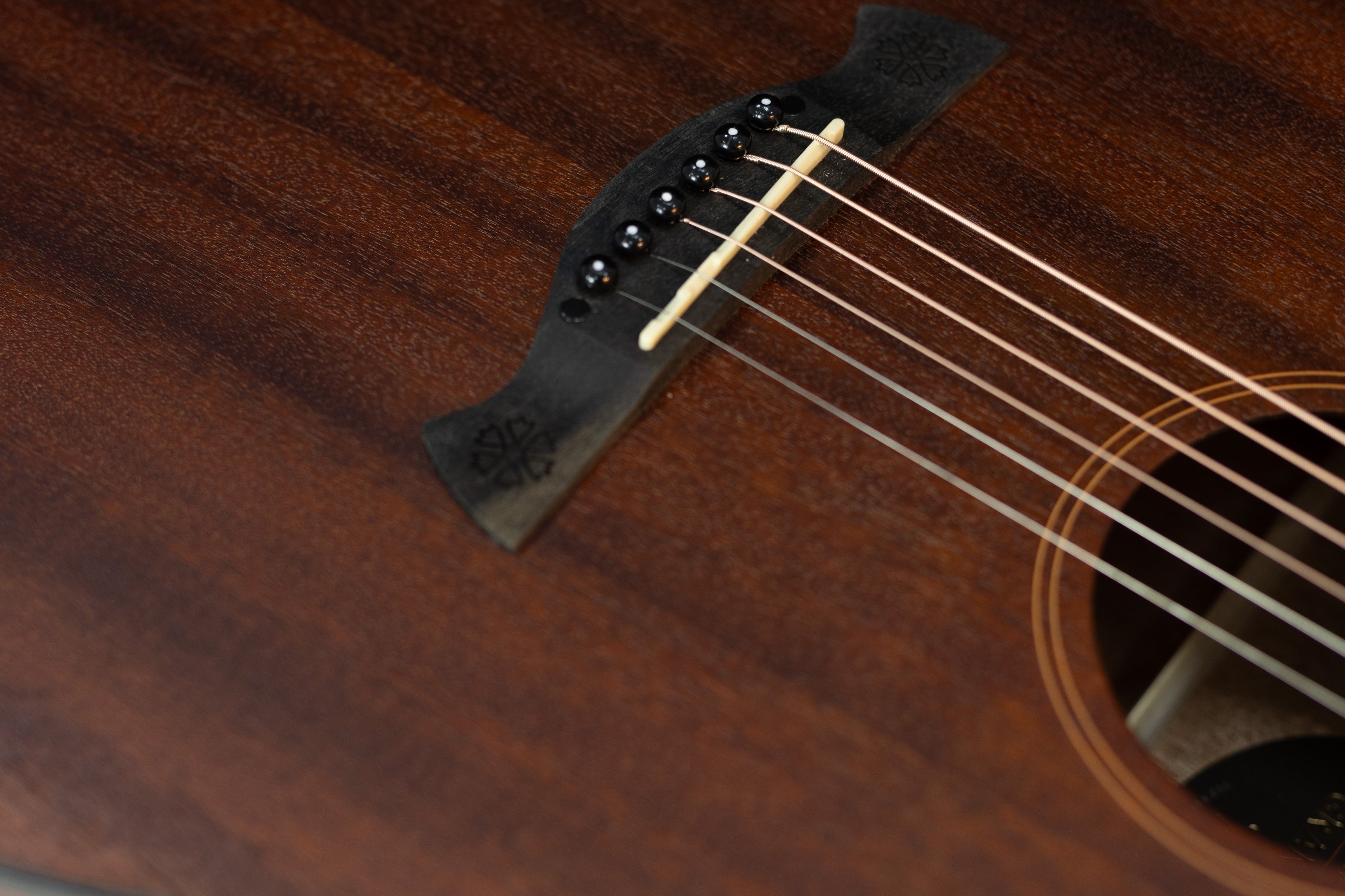 TAGIMA | GUITARRA ELECTRICA SEMI HUECA CUERPO DE CEDRO, DIAPASON PAU FERRO