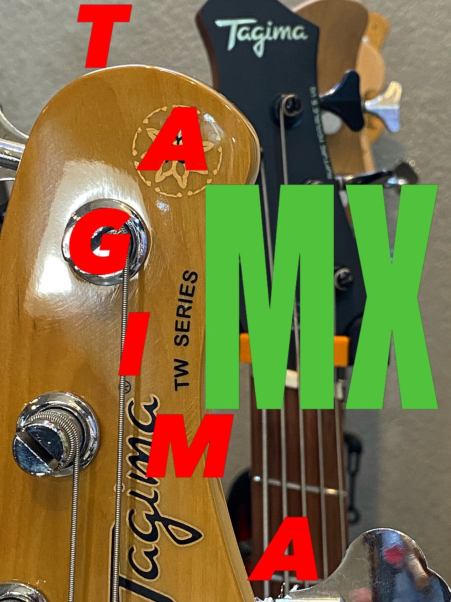 TAGIMA MX, UNA GRAN COMUNIDAD QUE CRECE Y CRECE