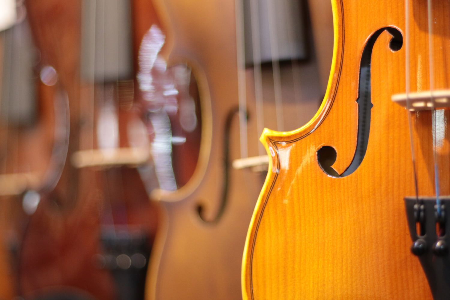 VIOLINES, VIOLONCELOS, PARIS