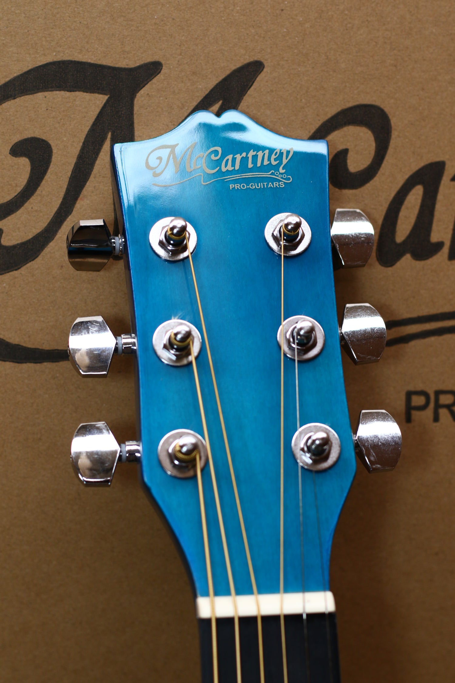 MUSICARTNEY | GUITARRA ELECTROACÚSTICA COLOR AZUL