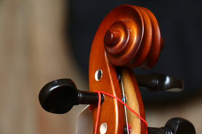 PARIS | VIOLÍN 3/4 TERMINADO NATURAL ANTIGUO MATE, PARTES DE MADERA TÉCNICA, MICROAFINADORES NEGROS.