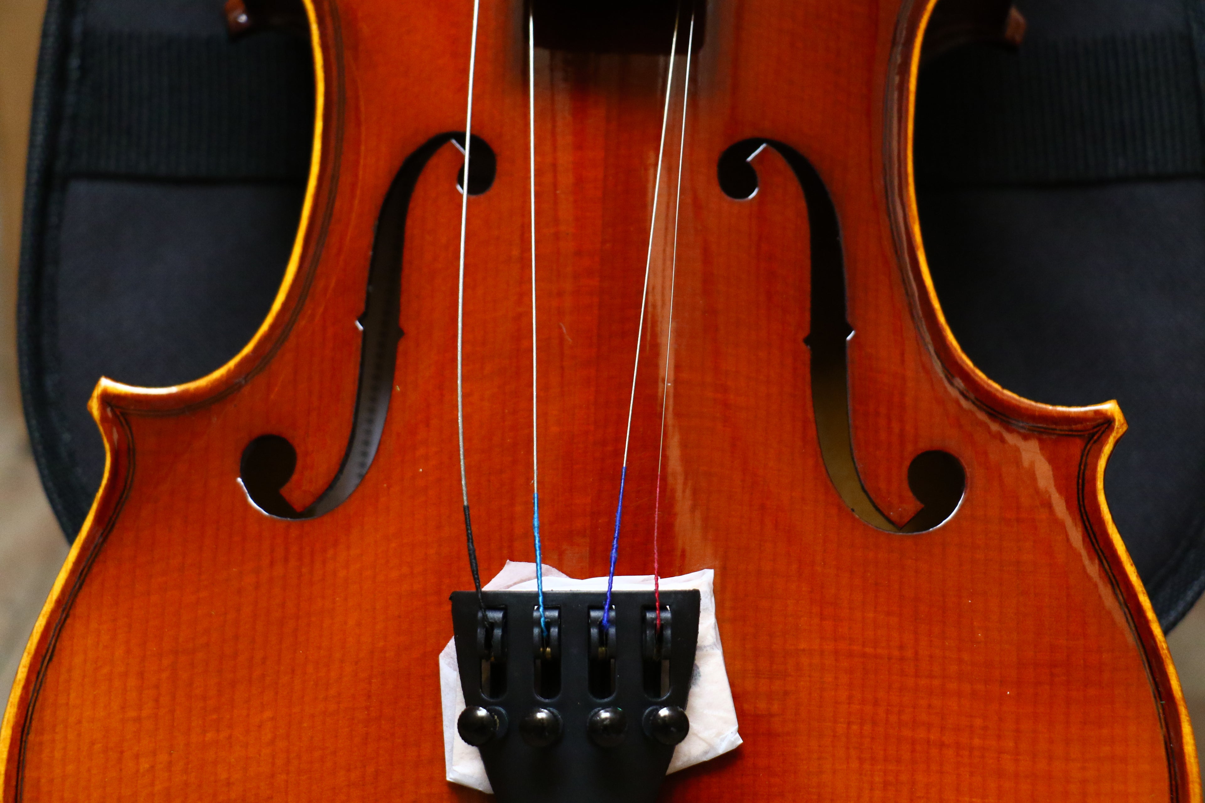 PARIS | VIOLÍN CON TAPA MACIZA DE ABETO, ACABADO MATE EN COLOR NATURAL Y PARTES DE ÉBANO. 4/4