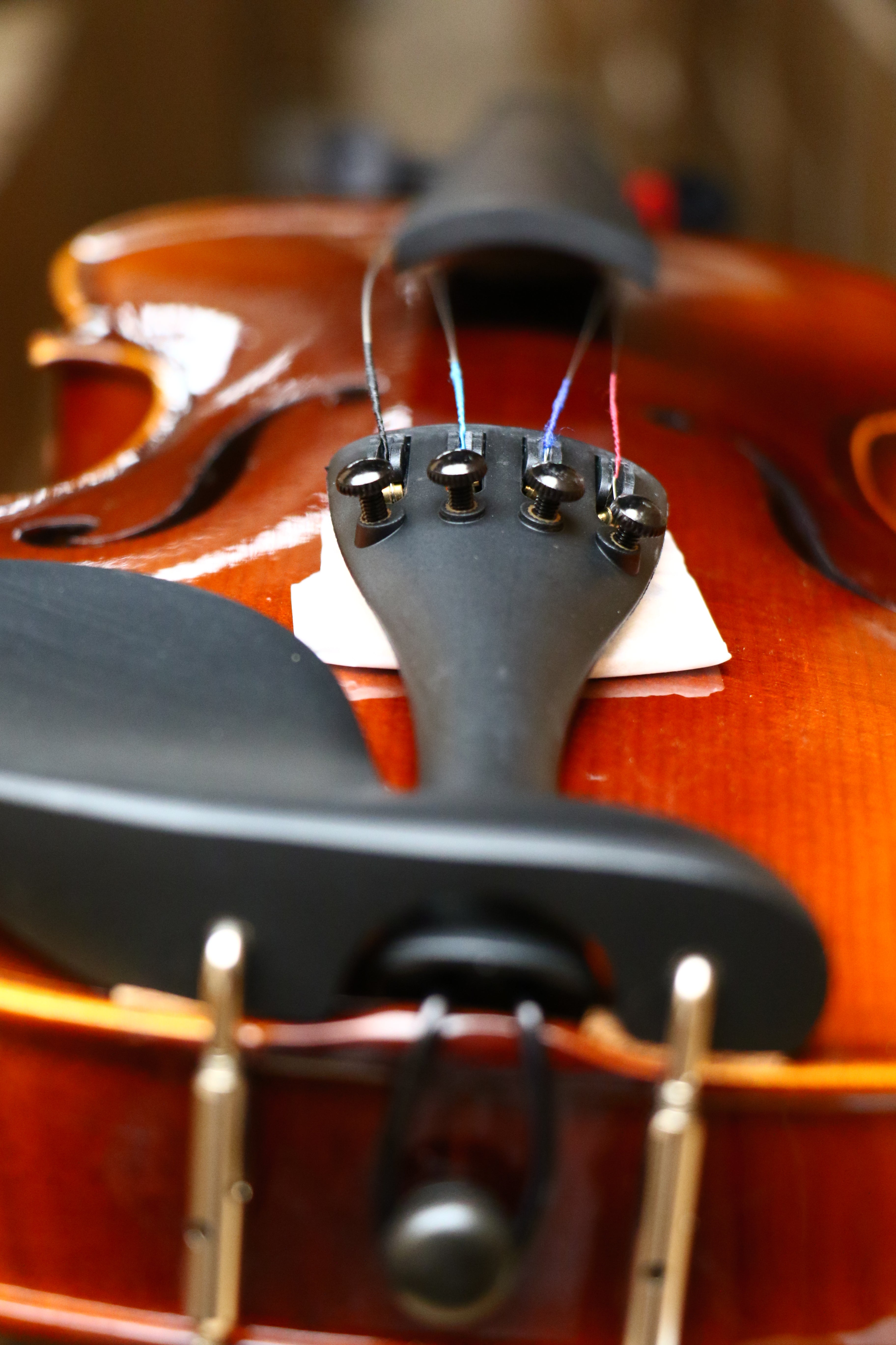 PARIS | VIOLÍN CON TAPA MACIZA DE ABETO, ACABADO MATE EN COLOR NATURAL Y PARTES DE ÉBANO. 4/4