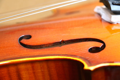 PARIS | VIOLÍN CON TAPA MACIZA DE ABETO, ACABADO MATE EN COLOR NATURAL Y PARTES DE ÉBANO. 4/4