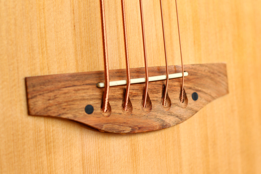 MUSICARTNEY |  BAJO ELECTROACUSTICO 5 CUERDAS COLOR NATURAL MEDIDA SUPER JUMBO. COLOR NATURAL