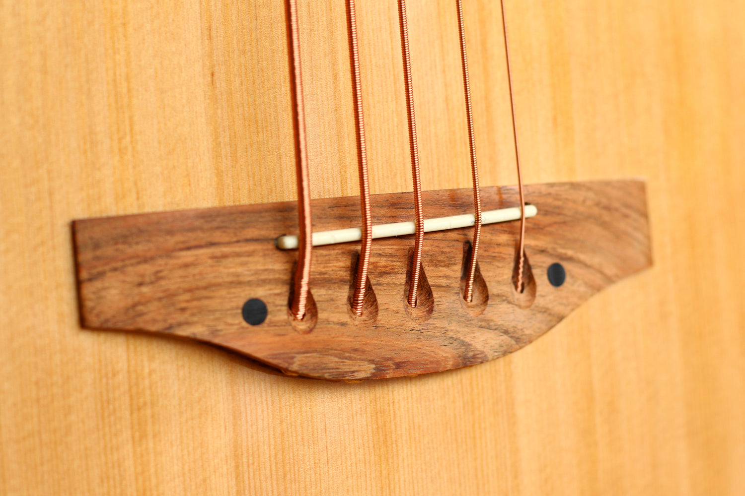 MUSICARTNEY |  BAJO ELECTROACUSTICO 5 CUERDAS COLOR NATURAL MEDIDA SUPER JUMBO. COLOR NATURAL