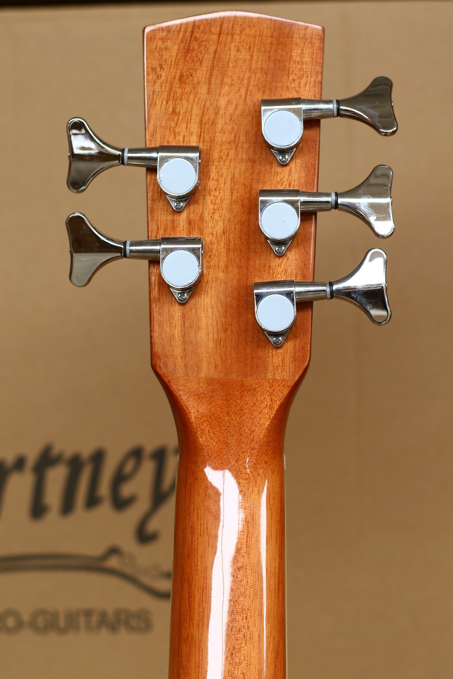 MUSICARTNEY |  BAJO ELECTROACUSTICO 5 CUERDAS COLOR NATURAL MEDIDA SUPER JUMBO. COLOR NATURAL