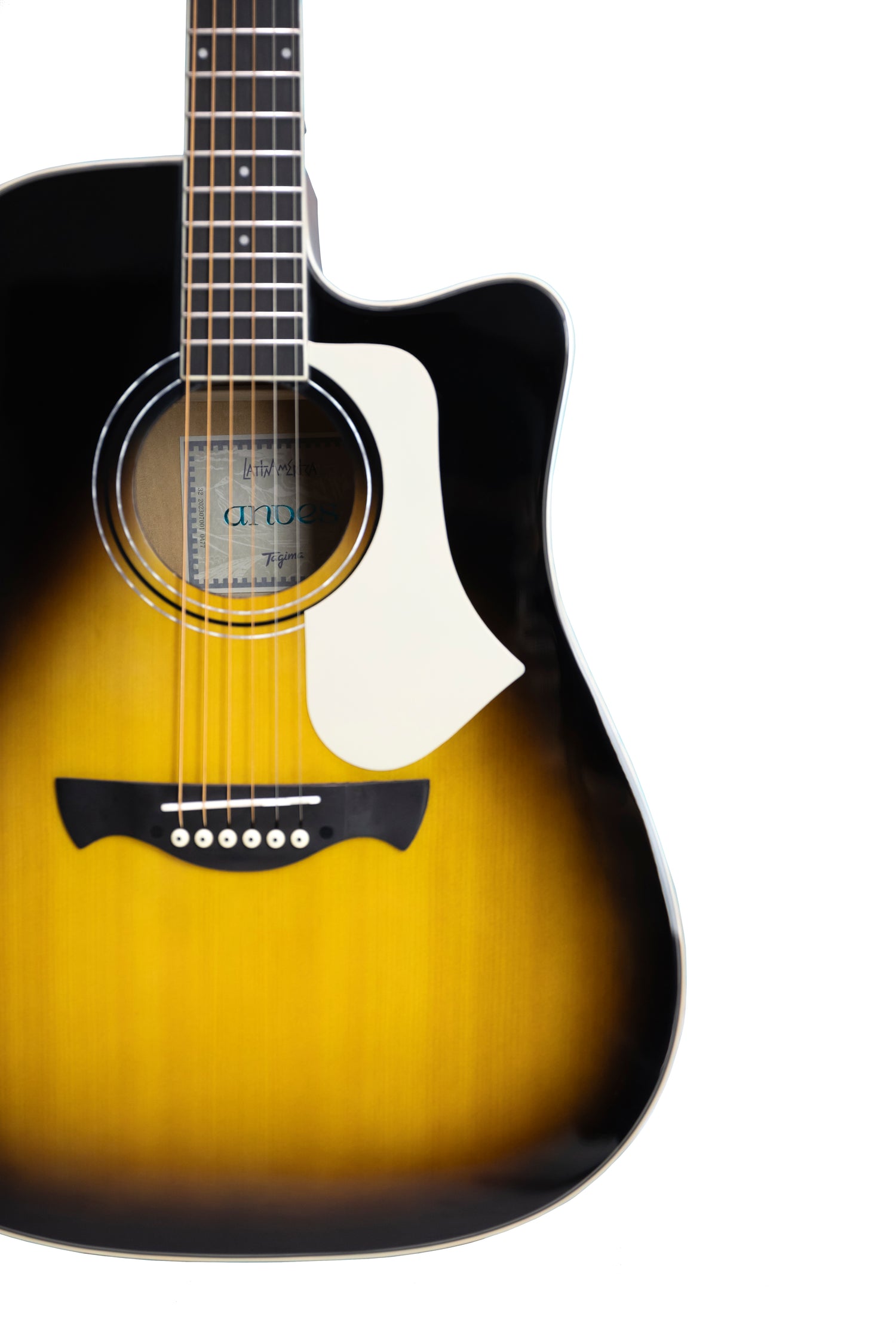 TAGIMA | GUITARRA ELECTROACÚSTICA SERIE LATAM COLOR VINTAGE SUNBURST