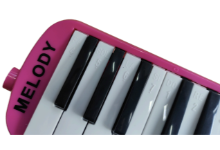 MELODY | MELODICA COLOR ROSA