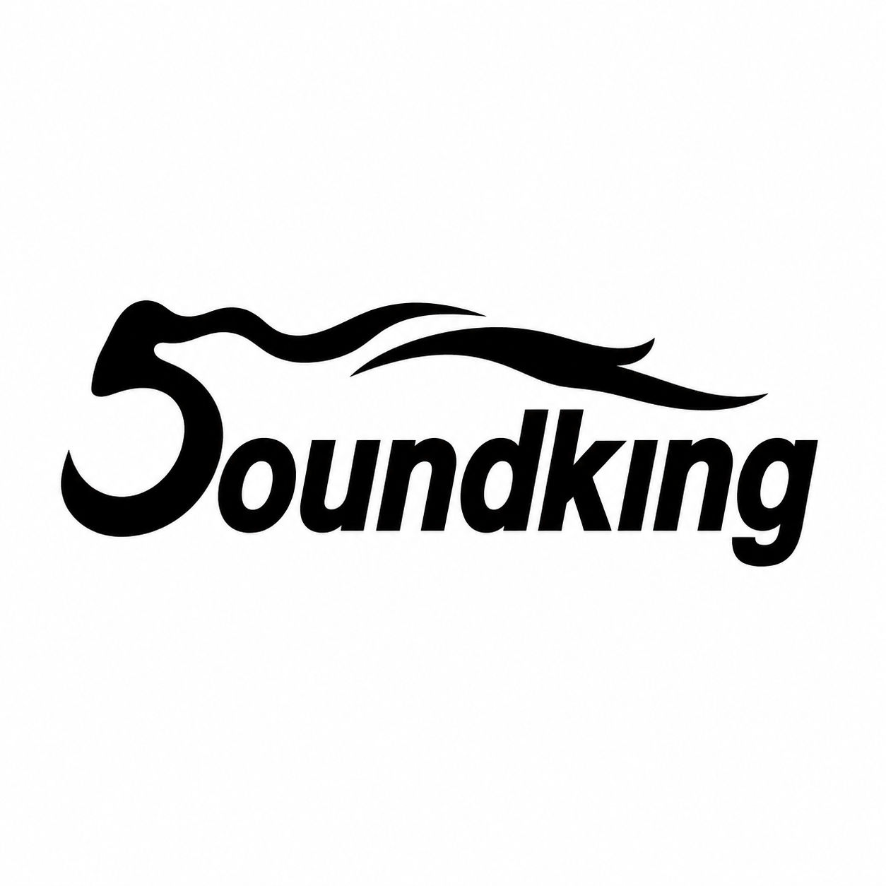 Soundking