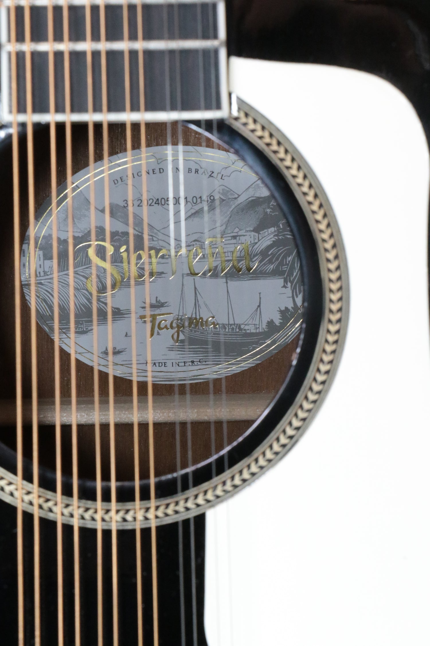 TAGIMA | GUITARRA ELECTROACÚSTICA DE 12 CUERDAS COLOR NEGRO. SIERREÑA