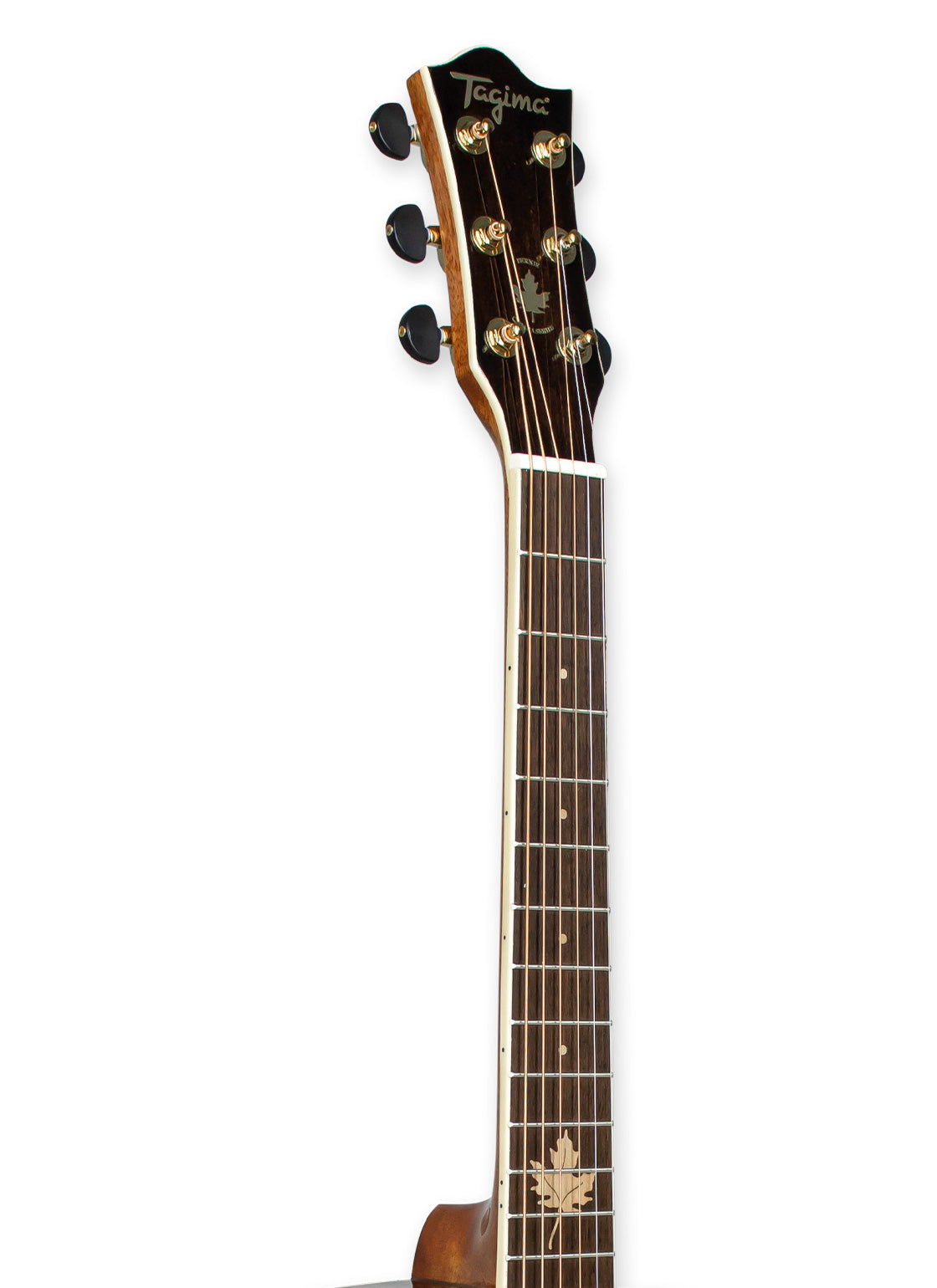 TAGIMA | Guitarra electróacústica FERNIE-EQ-NT