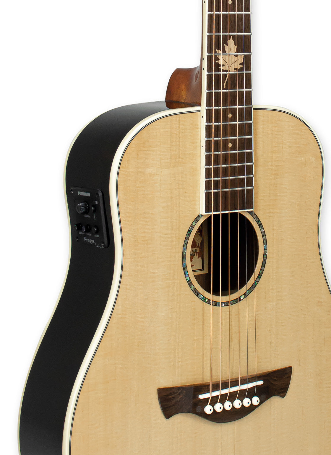 TAGIMA | Guitarra electróacústica FERNIE-EQ-NT