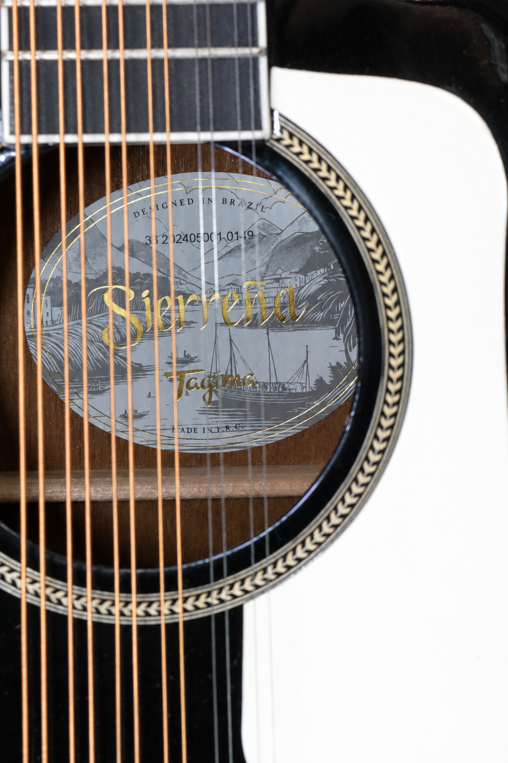 TAGIMA | GUITARRA ELECTROACÚSTICA DE 12 CUERDAS COLOR NEGRO. SIERREÑA
