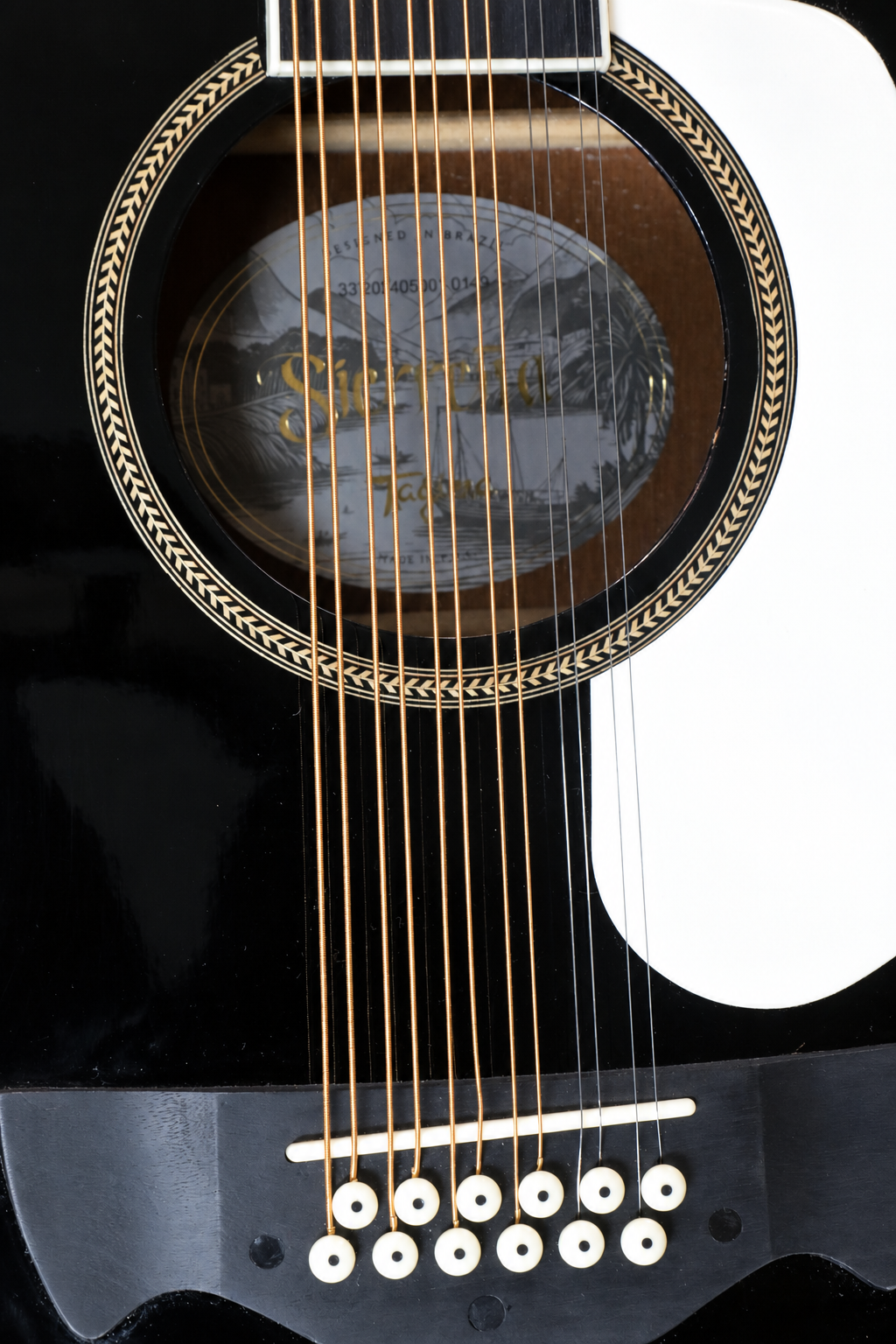 TAGIMA | GUITARRA ELECTROACÚSTICA DE 12 CUERDAS COLOR NEGRO. SIERREÑA