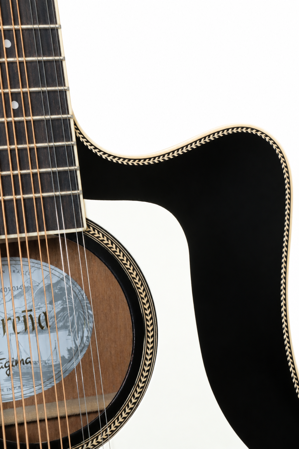 TAGIMA | GUITARRA ELECTROACÚSTICA DE 12 CUERDAS COLOR NEGRO. SIERREÑA