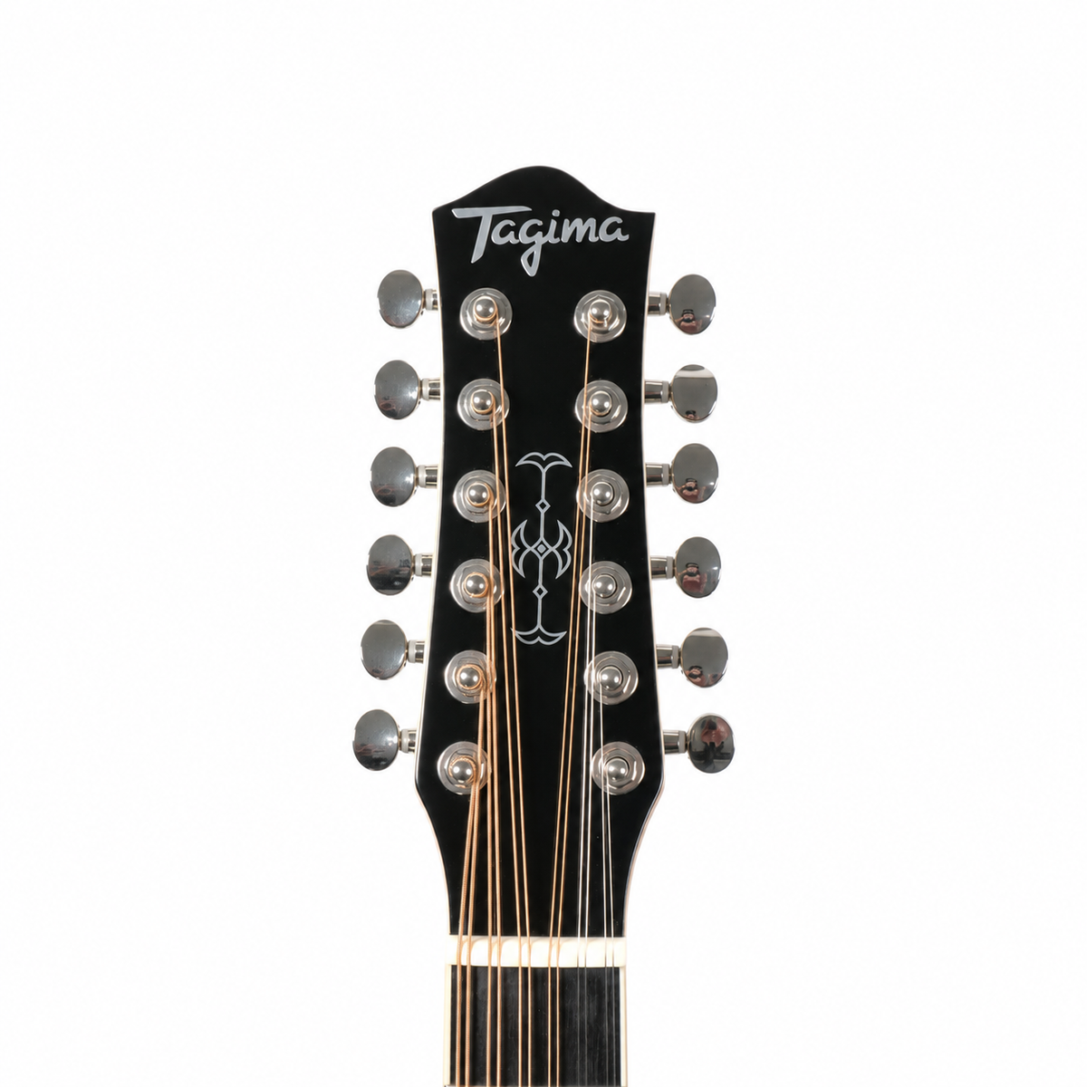TAGIMA | GUITARRA ELECTROACÚSTICA DE 12 CUERDAS COLOR NEGRO. SIERREÑA