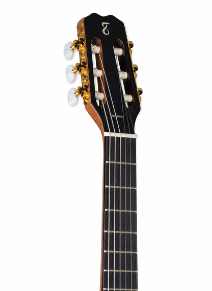 Tagima | Guitarra electroacústica Modena de 6 cuerdas de nylon slim – Transparent Blue Fade Gloss Gloss