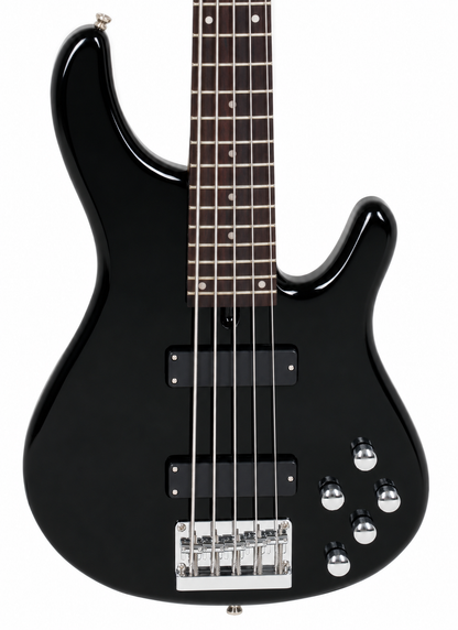 TAGIMA | BAJO DE 5 CUERDAS CLASSIC COLOR NEGRO. MILLENIUM
