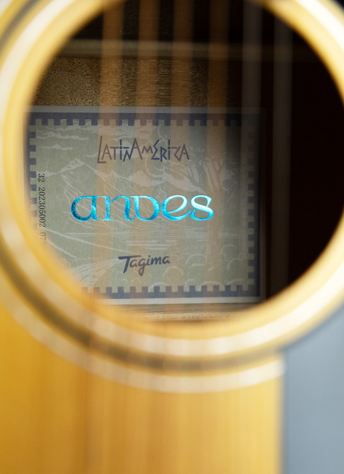 TAGIMA | GUITARRA ELECTROACÚSTICA SERIE LATAM COLOR NATURAL AMBER