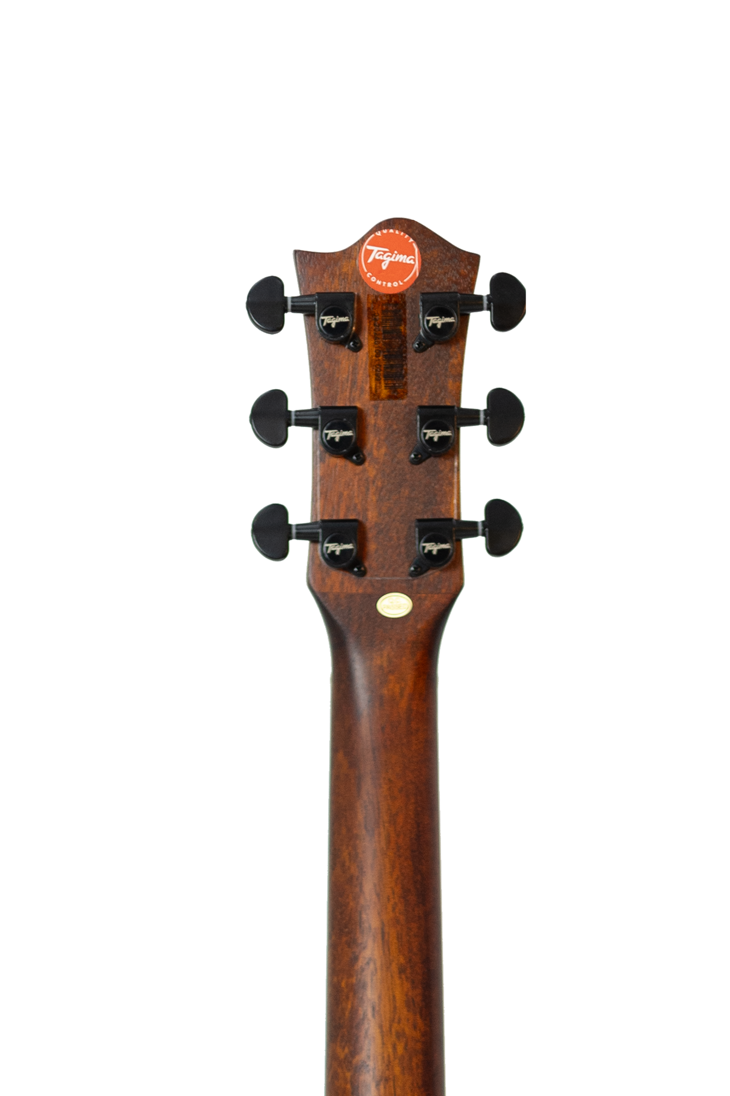 TAGIMA | GUITARRA ELECTRICA SEMI HUECA CUERPO DE CEDRO, DIAPASON PAU FERRO