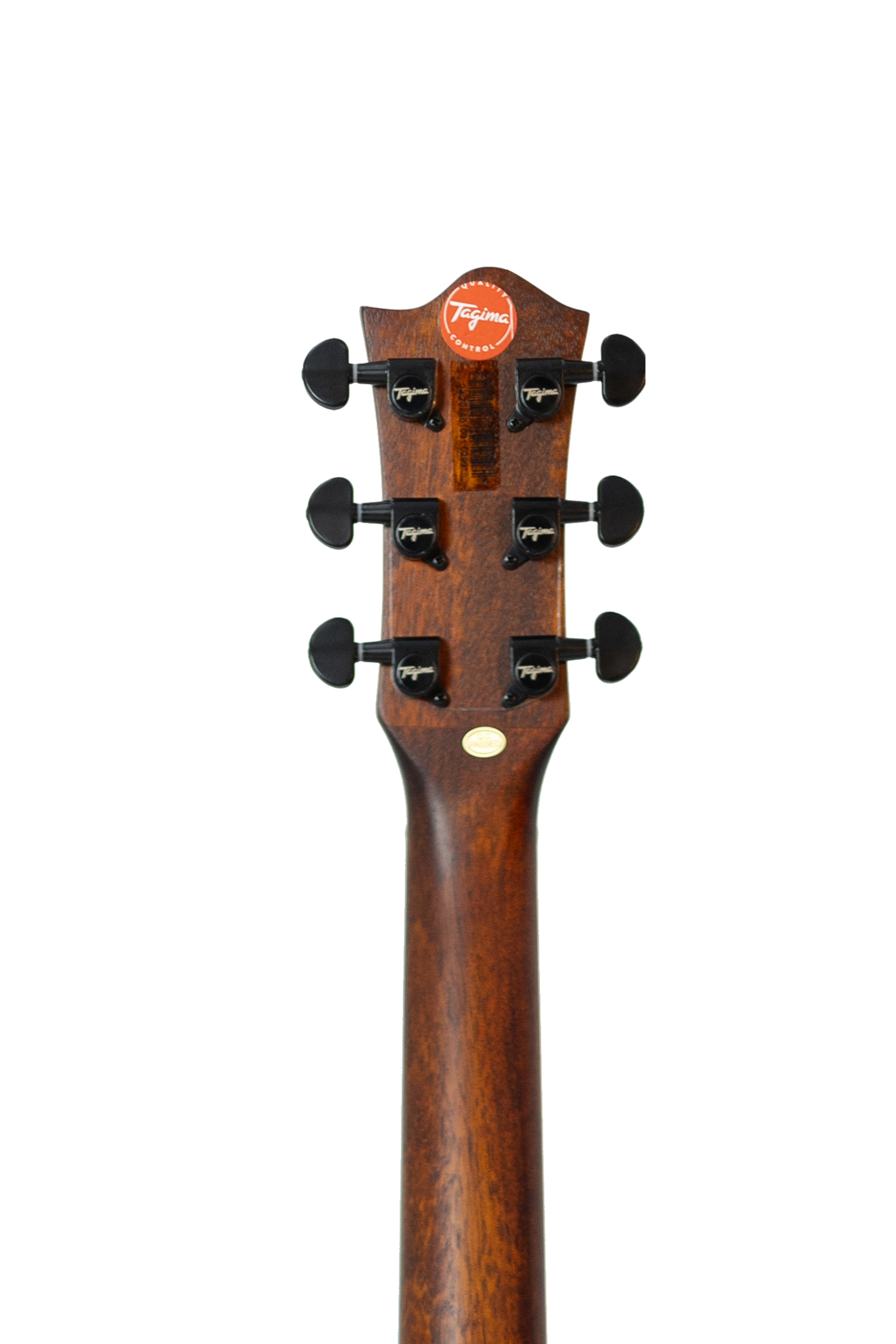 TAGIMA | GUITARRA ELECTRICA SEMI HUECA CUERPO DE CEDRO, DIAPASON PAU FERRO