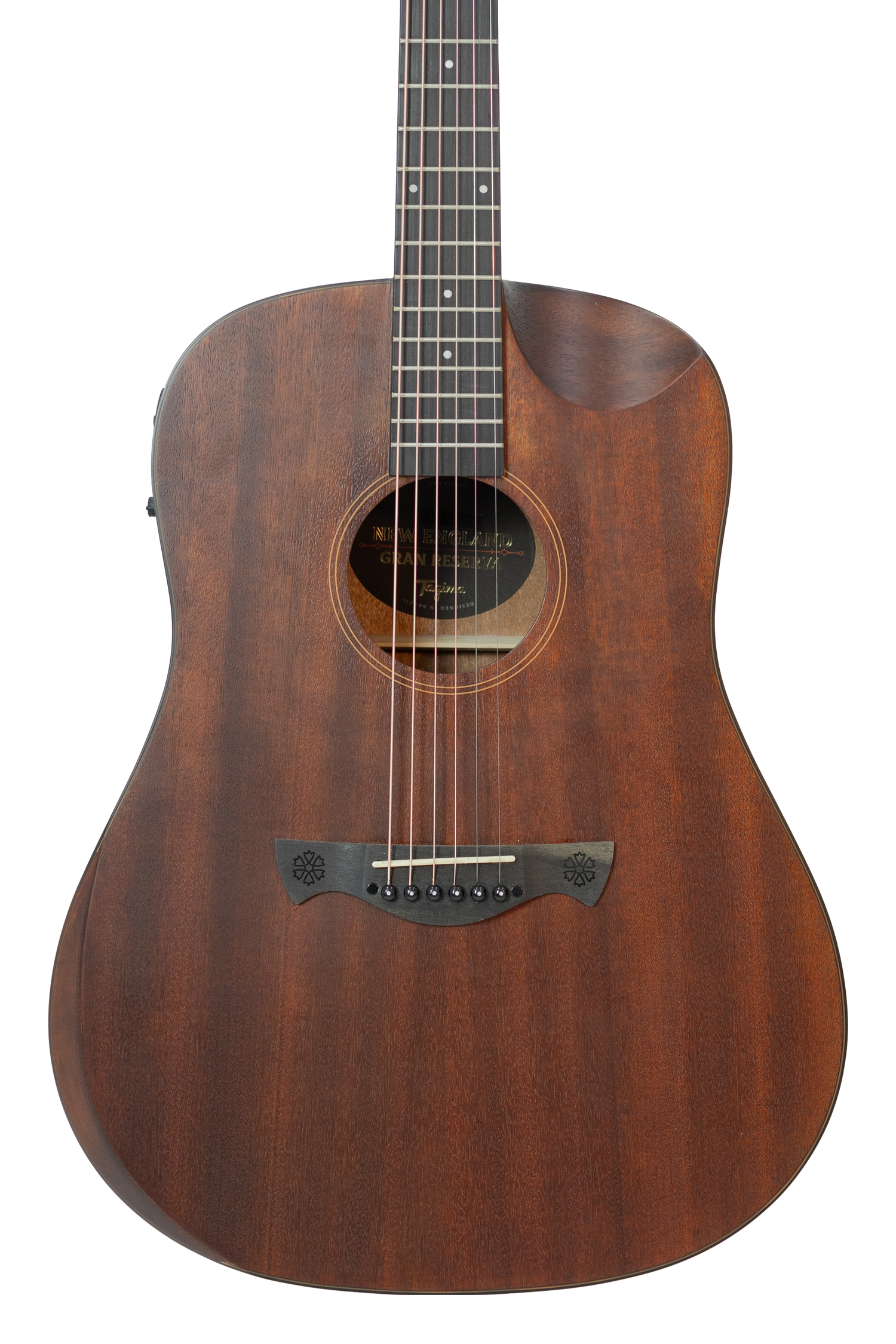 TAGIMA | GUITARRA ELECTRICA SEMI HUECA CUERPO DE CEDRO, DIAPASON PAU FERRO
