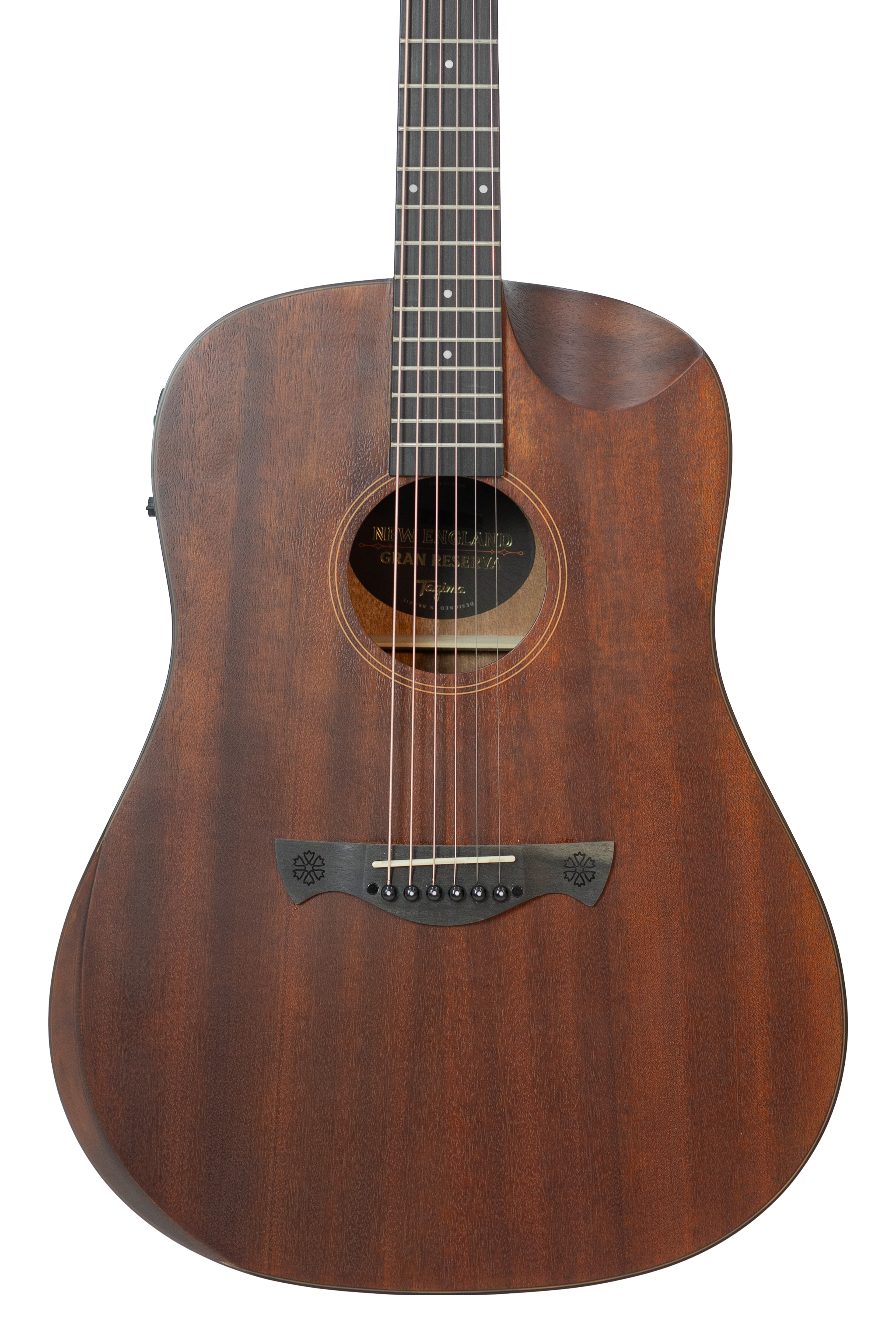 TAGIMA | GUITARRA ELECTRICA SEMI HUECA CUERPO DE CEDRO, DIAPASON PAU FERRO