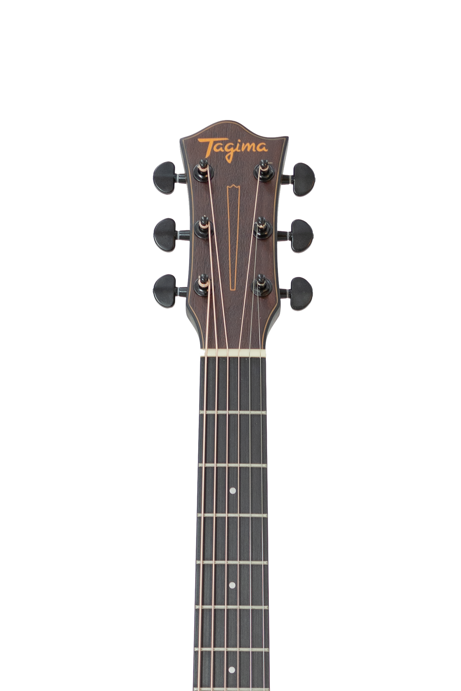 TAGIMA | GUITARRA ELECTRICA SEMI HUECA CUERPO DE CEDRO, DIAPASON PAU FERRO