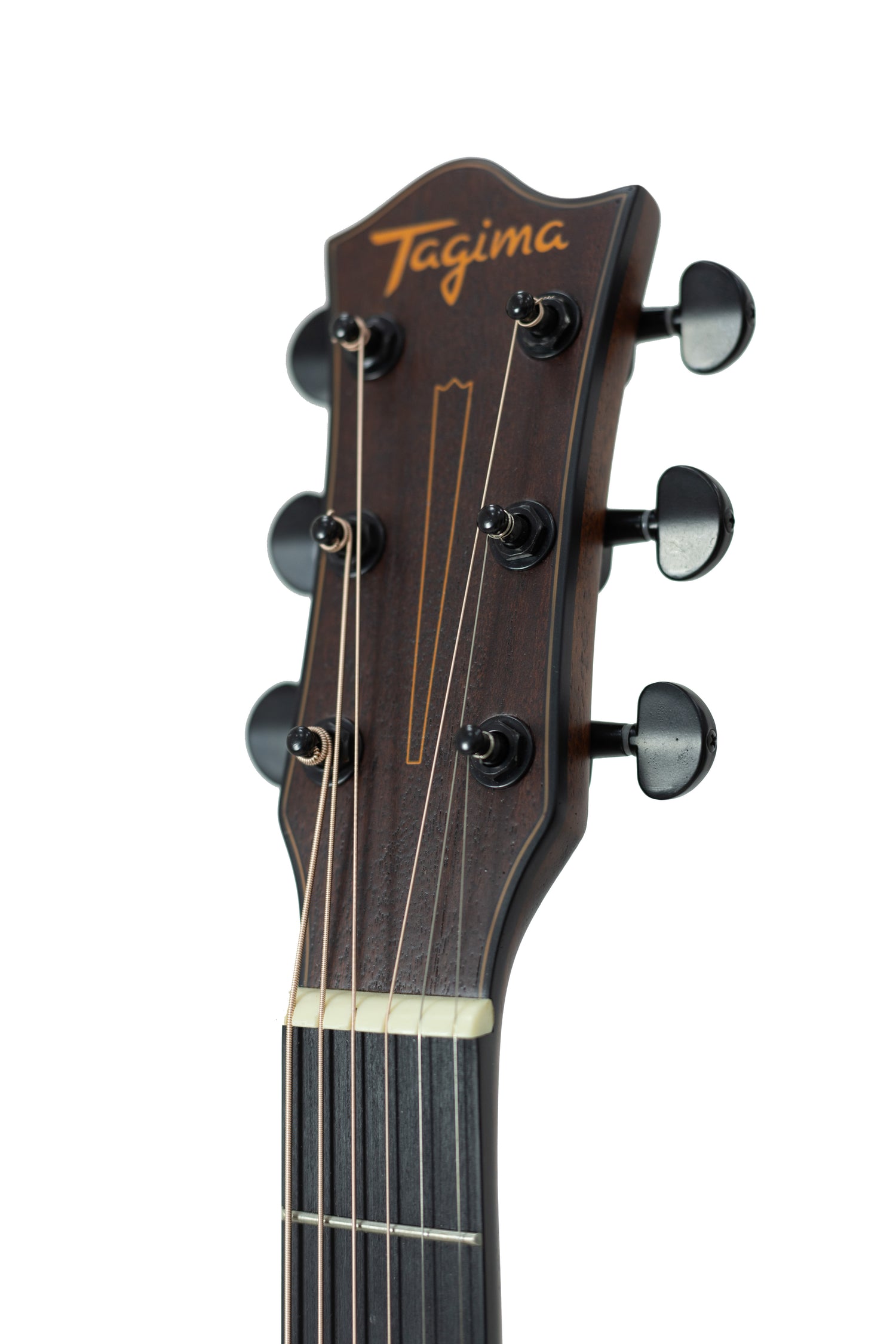 TAGIMA | GUITARRA ELECTRICA SEMI HUECA CUERPO DE CEDRO, DIAPASON PAU FERRO