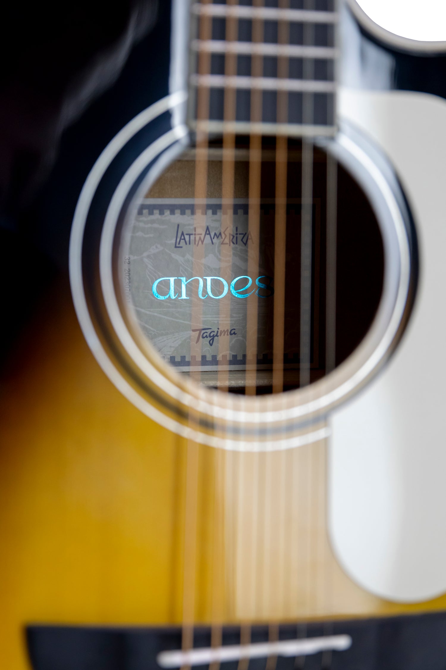 TAGIMA | GUITARRA ELECTROACÚSTICA SERIE LATAM COLOR VINTAGE SUNBURST