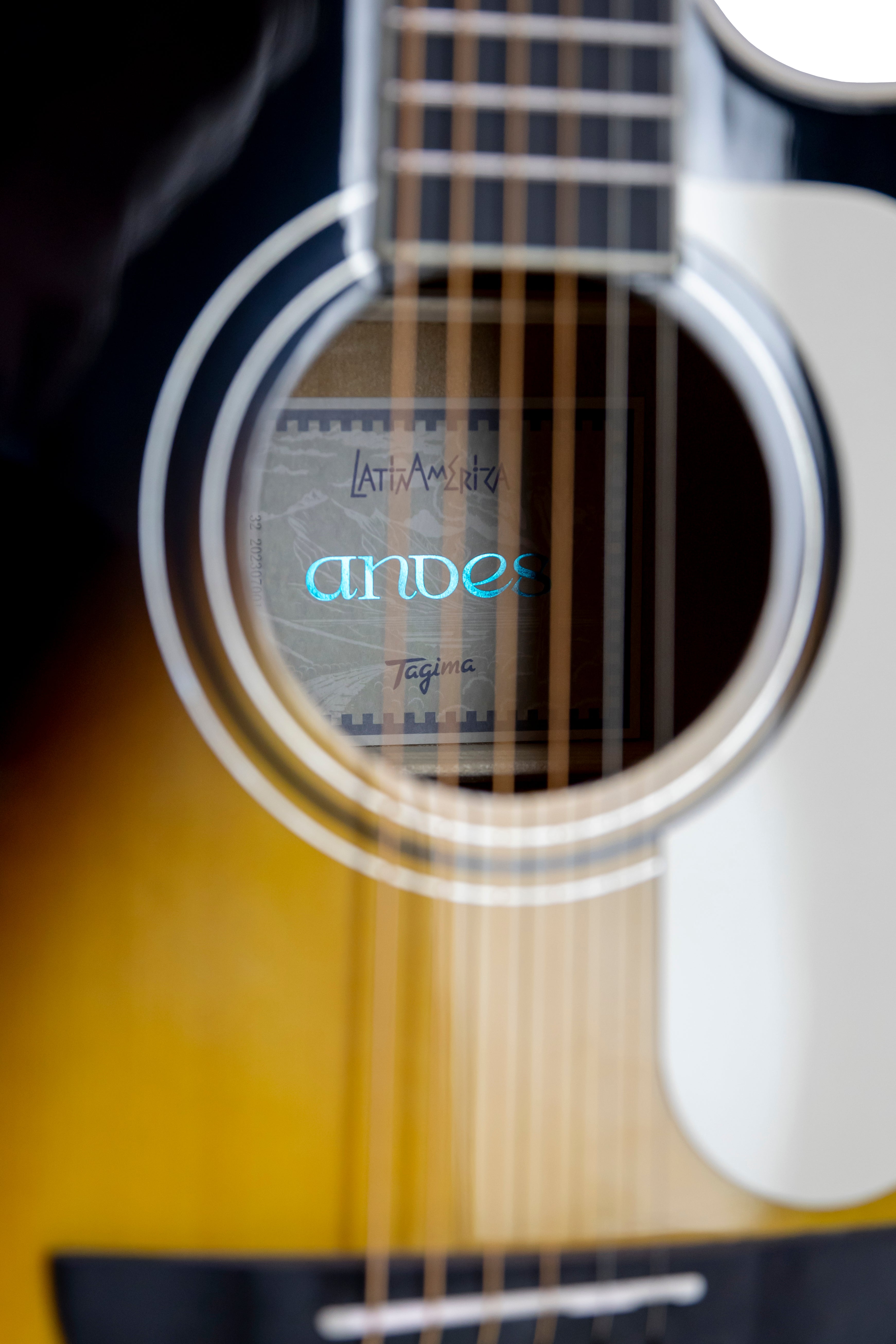 TAGIMA | GUITARRA ELECTROACÚSTICA SERIE LATAM COLOR VINTAGE SUNBURST