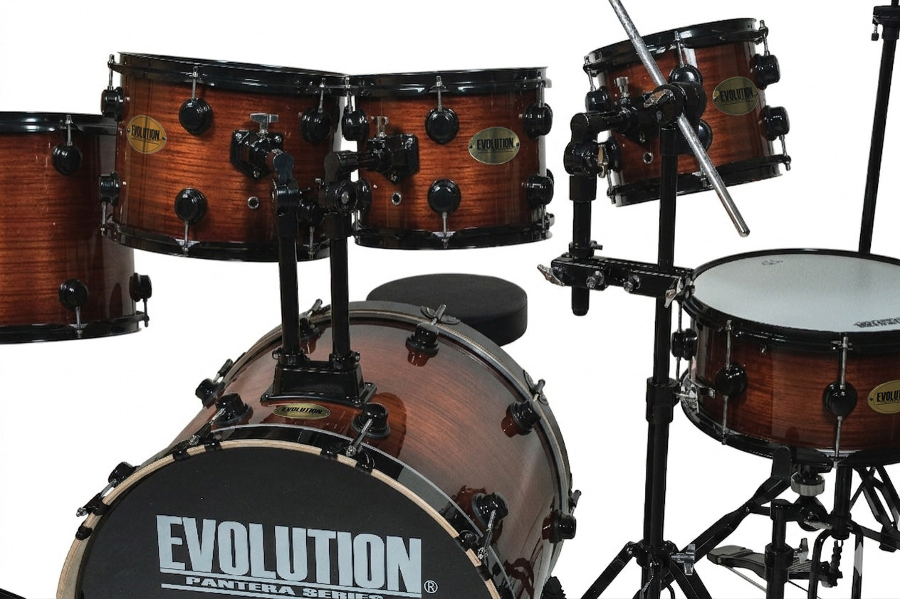 EVOLUTION | BATERÍA PANTERA DE 6 PIEZAS, TAMBORES DE 8", 10", 12", 14", 16" Y BOMBO DE 22", EN COLOR NEGRO CON RAYAS DORADAS